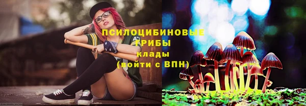 a pvp Балабаново