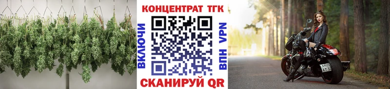 что такое   Грайворон  мориарти телеграм  ТГК жижа 