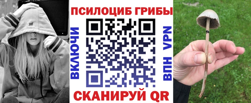 Псилоцибиновые грибы MAGIC MUSHROOMS  купить наркотик  OMG tor  Грайворон 